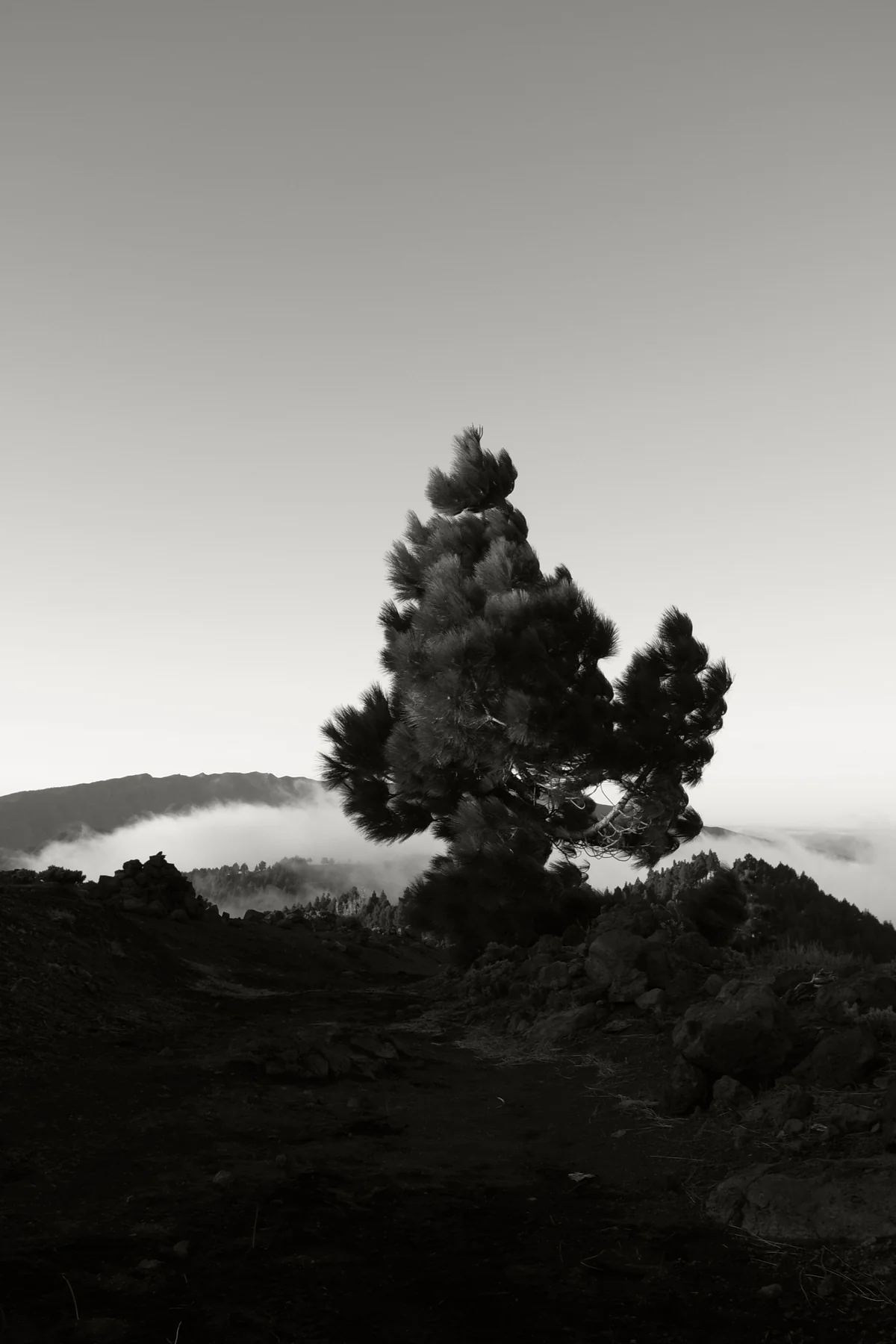 Archivo blanco y negro