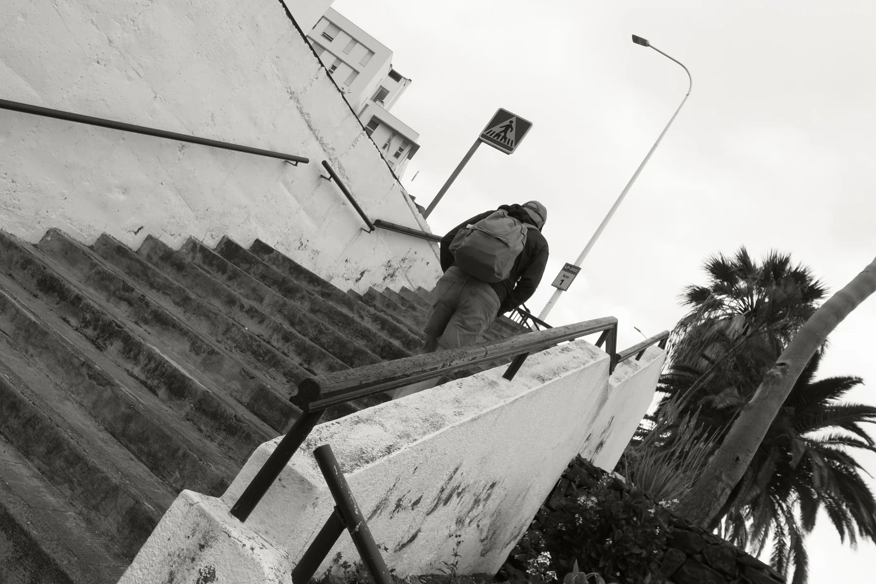 Archivo blanco y negro